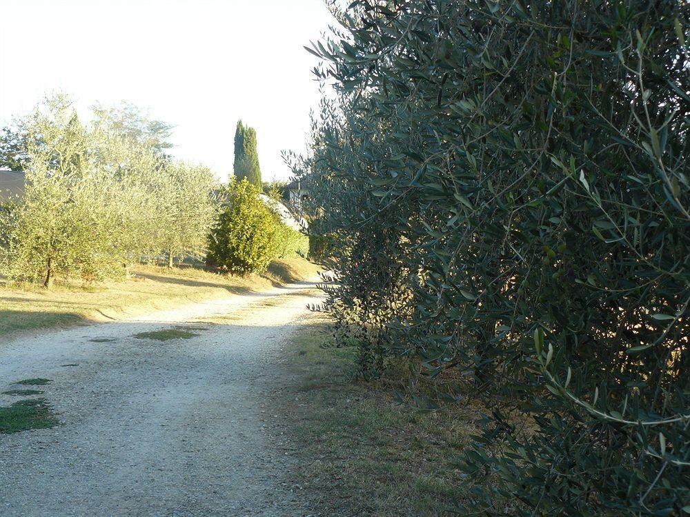 Bosco Ai Marzi Bed & Breakfast Poggibonsi Exterior photo